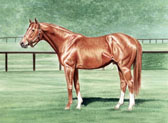Thoroughbred, Equine Art - Secretariat in his Pasture